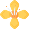 江南体育 logo