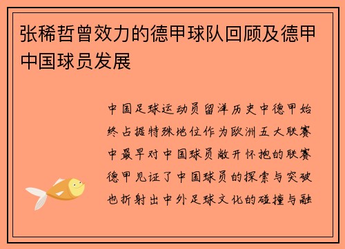 张稀哲曾效力的德甲球队回顾及德甲中国球员发展